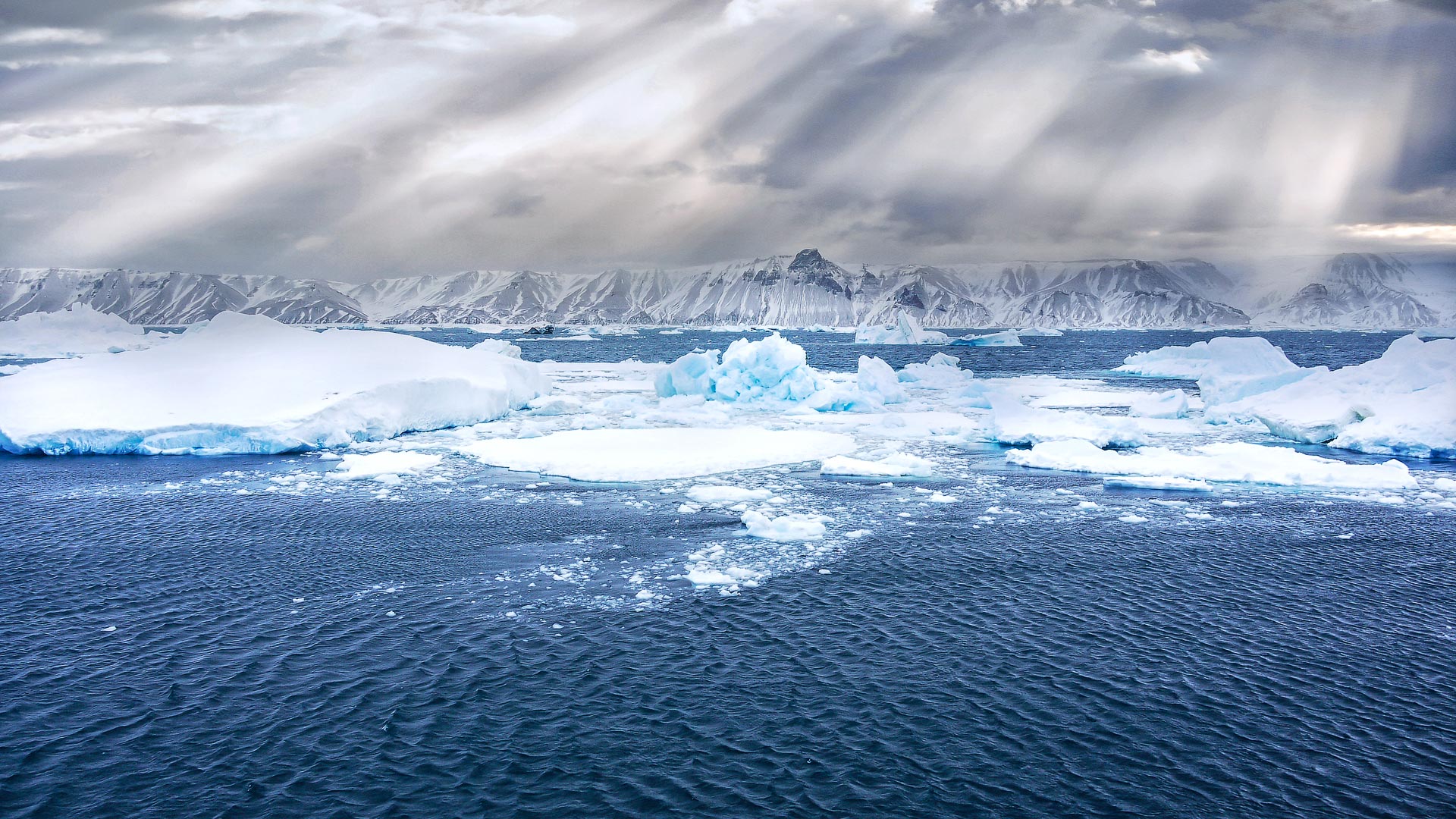 Being an ice-breaker, our ship may also be able to head down the eastern side of the Antarctic Peninsula ...